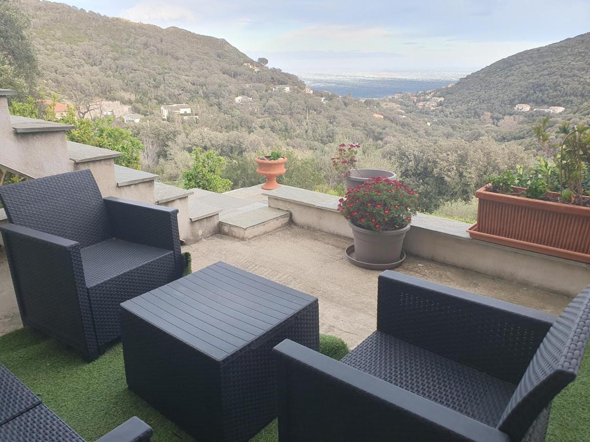 Cap Corse Uribellinu 1, Petit Dejeuner Appartement